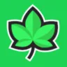 Ivy Casino logo
